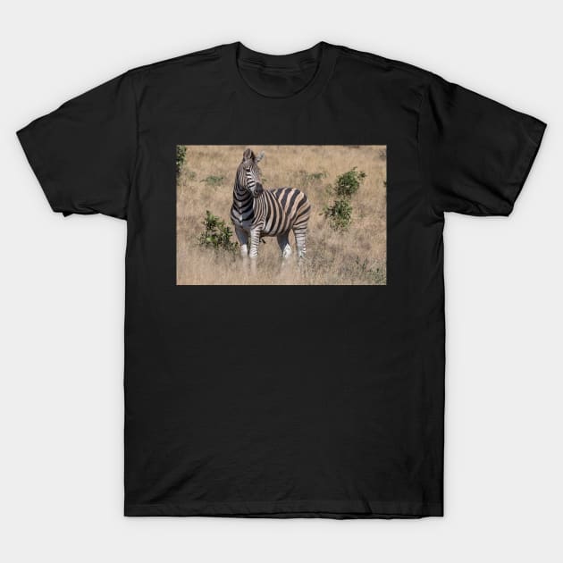 Zebra T-Shirt by StacyWhite